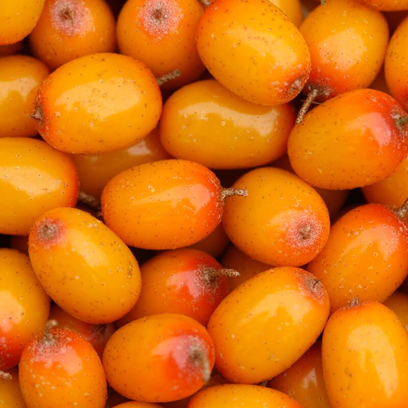 Berries puristry_about_us_berries