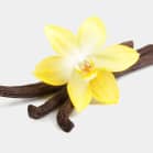 VANILLA PLANIFOLIA