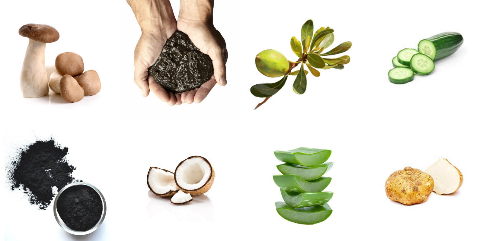 VB-COCO2U_Bioactive-d
