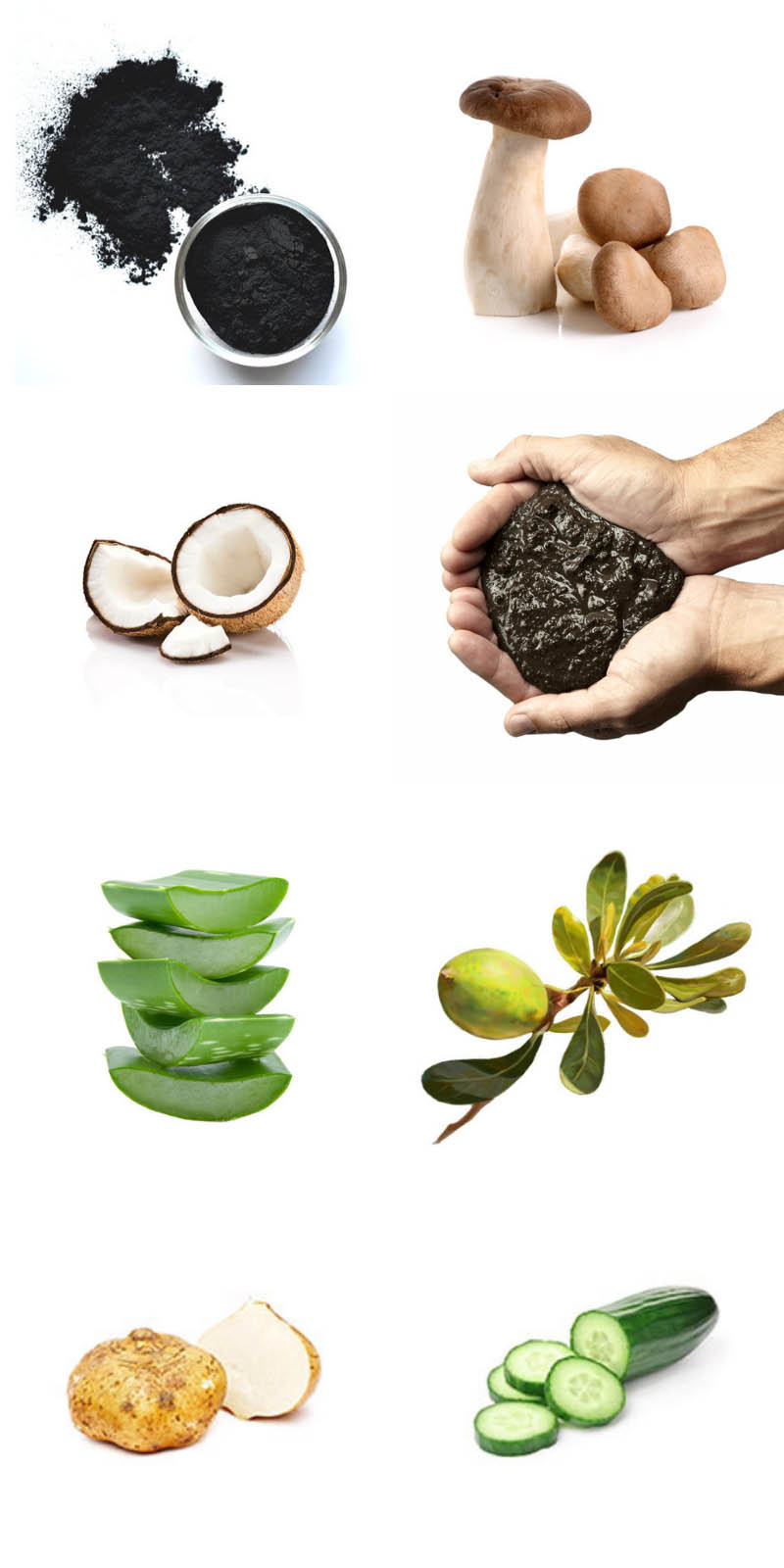 VB-COCO2U_Bioactive-m